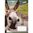 Kép 1/2 - Victoria 3. osztályos vonalas füzet Funny Animals