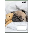 Kép 3/4 - Victoria Baby animal vonalas füzet 4. osztálytól - kisállatos