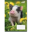 Kép 4/4 - Victoria Baby animal vonalas füzet 4. osztálytól - kisállatos