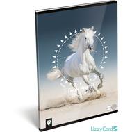 Lovas kockás füzet - A4 - 87-32 - Kis Bagoly Horse