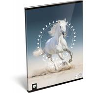 Lovas sima füzet - A4 - 80-32 - Kis Bagoly Horse