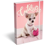Pet Cutie Pie kutyás A4 füzetbox csivava
