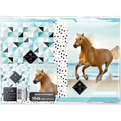 Geo Horse Beach lovas füzetborító A5