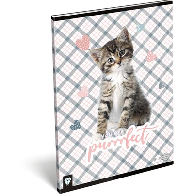 Cicás vonalas füzet - A4 - 81-32 - Purrrfect