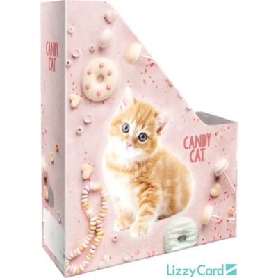 Cicás irattartó papucs A4 - Kis bagoly Candy Cat