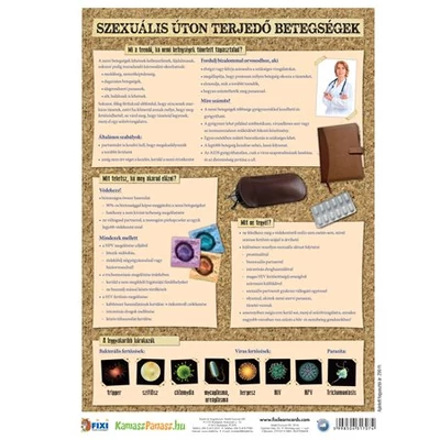 Szexuális betegségek tanulói munkalap