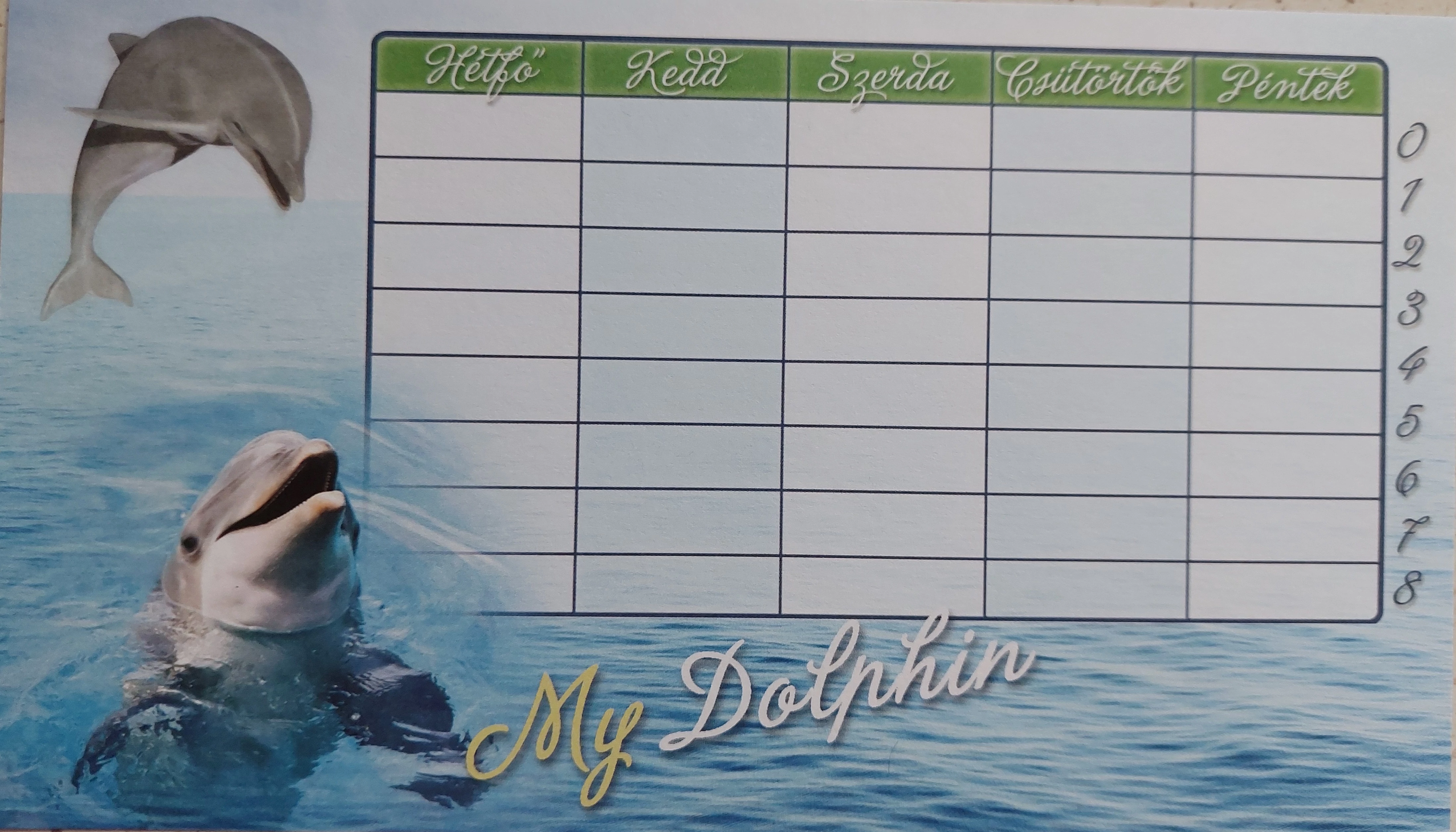 Órarend öntapadós delfines
