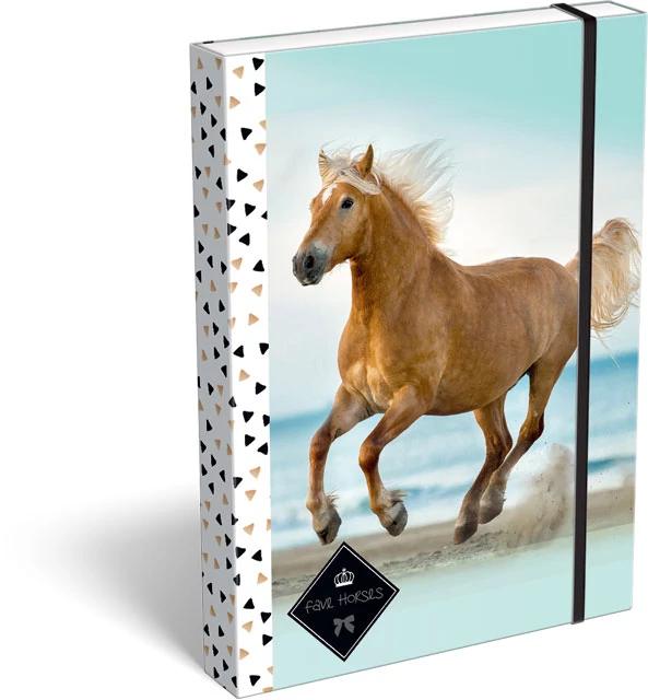 Geo Horse Beach füzetbox - A4 - Lovas