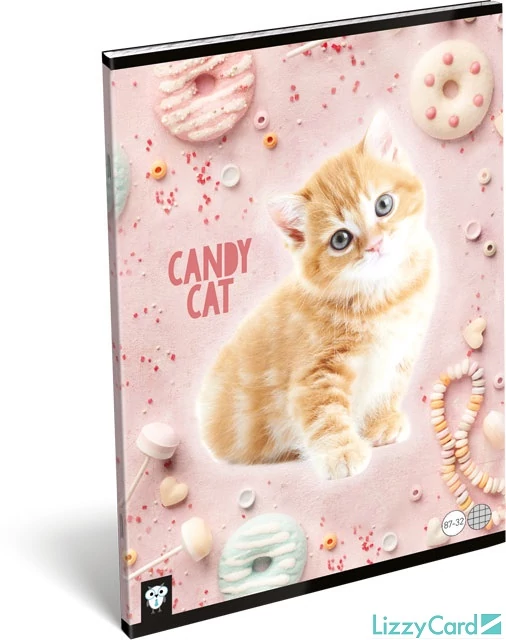 Cicás kockás füzet - A4 - 87-32 - Kis Bagoly Candy Cat