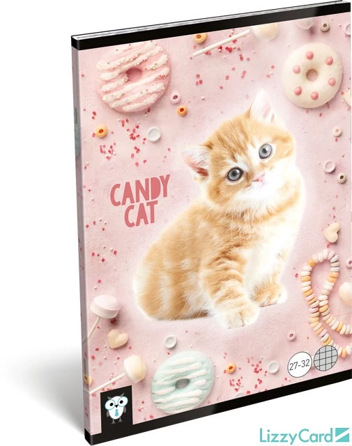 Cicás kockás füzet - A5 - 27-32 - Kis Bagoly Candy Cat