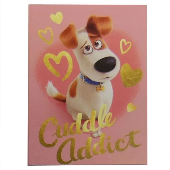 Papírfedeles notesz A7 - Max