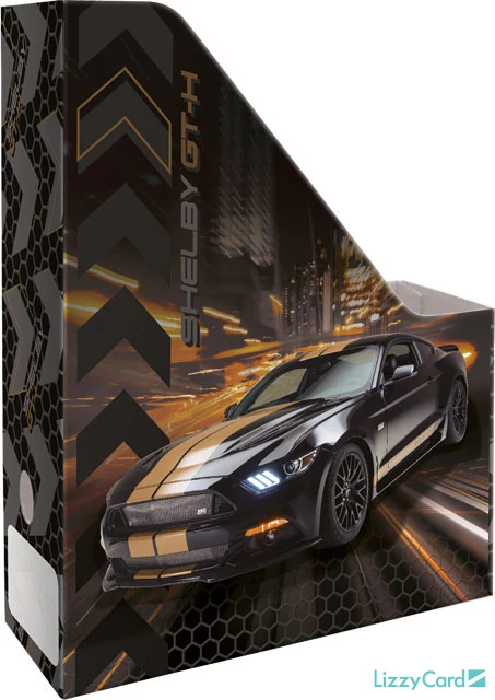 Ford Mustang irattartó papucs A4 - Shelby GT-H