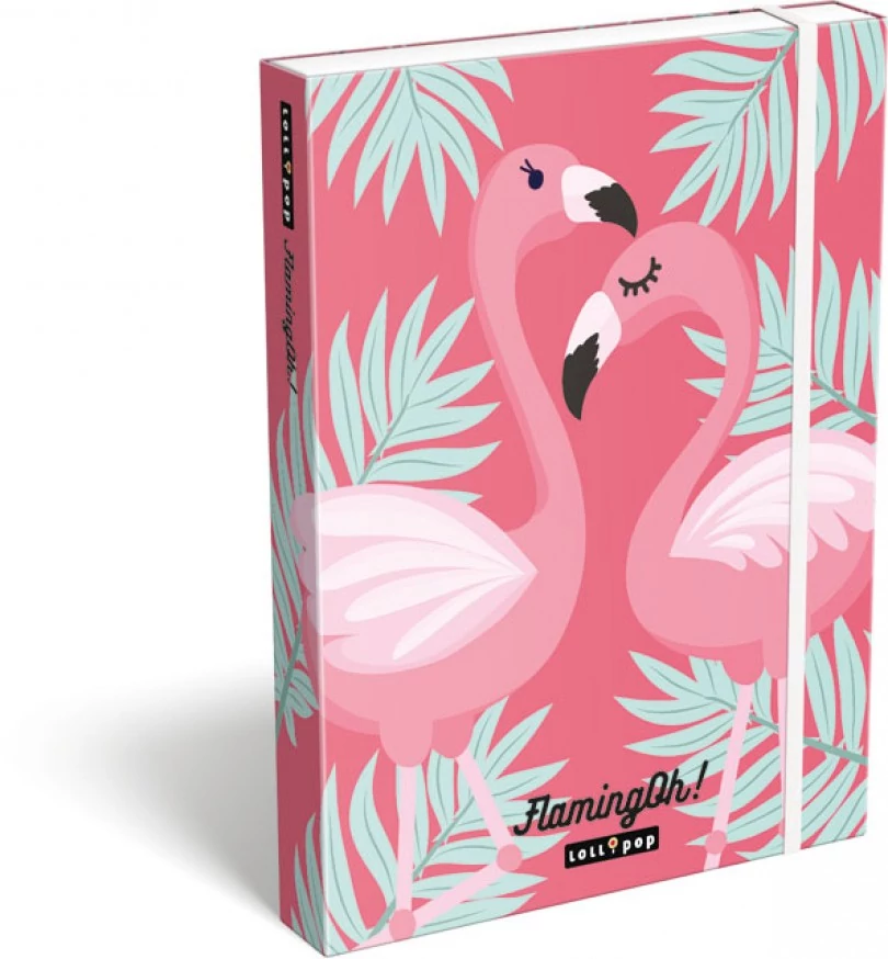 Lollipop Flaming-oh füzetbox - A5 - flamingós