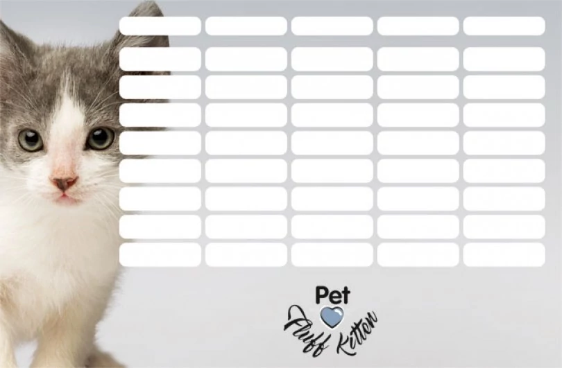 Cicás órarend - kicsi - Pet Fluff Kitten